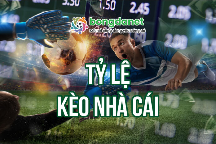 Thị Trường Bất Đông Sản 2025 – Chìa Khóa Thành Công Trong Dự Đoán Bóng Đá Hiện Đại