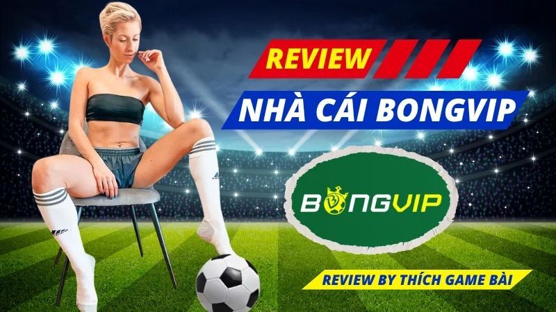 Khám Phá Thống Kê Miền Bắc – Bí Quyết Cá Cược Thành Công